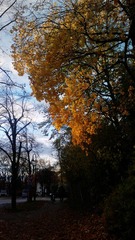 20121105_161527.jpg