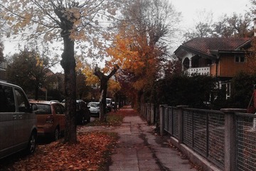 20121105_161832.jpg