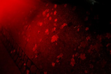 20121107_205817.jpg
