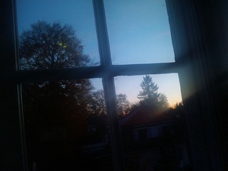 20121108_065312.jpg