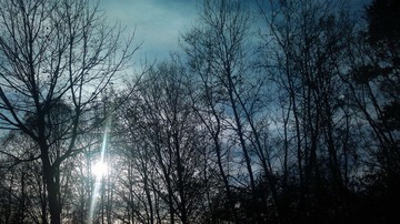 20121108_150030.jpg