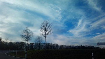 20121108_150432.jpg