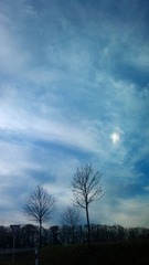 20121108_150444.jpg