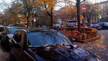 20121110_163106.jpg