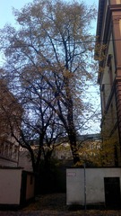 20121110_163425.jpg