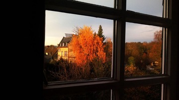 20121111_153631.jpg