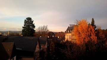 20121111_153650.jpg