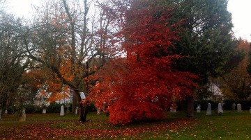 20121111_161856.jpg