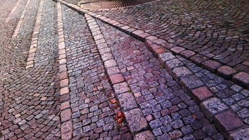 20121111_162431.jpg