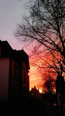 20121111_165211.jpg
