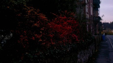 20121111_170149.jpg