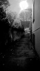 20121111_170406.jpg