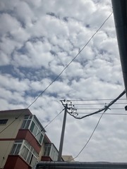 5BE0098F-CC57-49AD-8A9F-8F410573E39D/L0/001