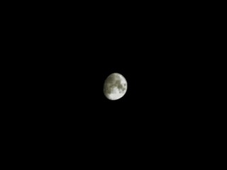 B8F6811C-634E-42D3-83AD-343BE1710655/L0/001