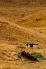DSC_1997-