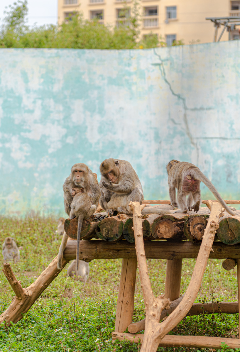 广西平南雄森动物园