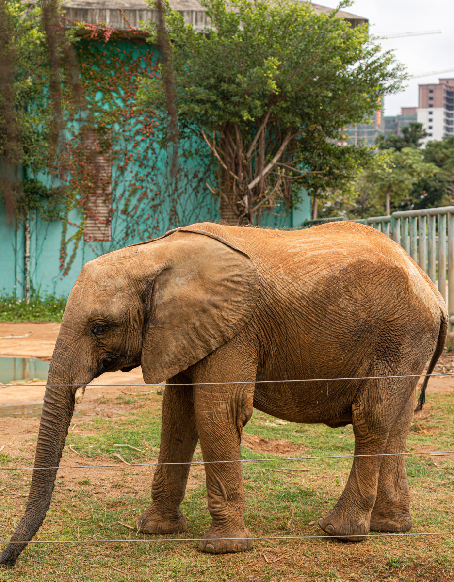 广西平南雄森动物园