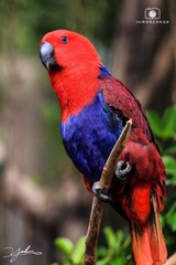 IMG_8095.jpg