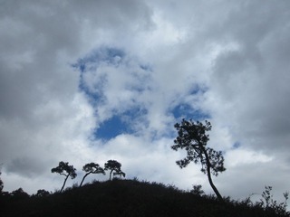 照片 610.jpg