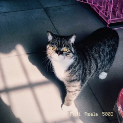 06FA24B4-7B81-433D-A2AE-BE0ED68E4AC3/L0/001