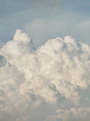 1000009516