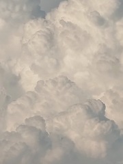 1000009517