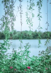 10768233-A775-43C8-9D73-2D435518D75E/L0/001