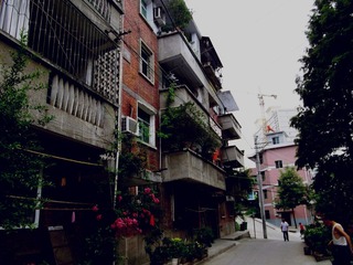 IMGP1686_副本.jpg