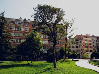 IMGP1710_副本.jpg