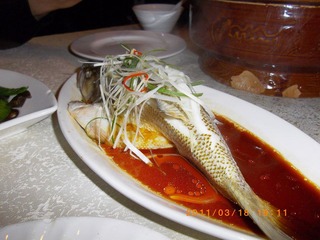 IMGP0197.JPG