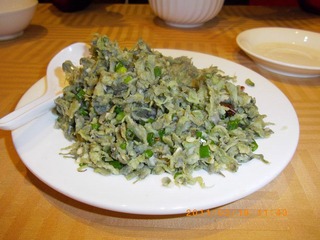 IMGP0205.JPG