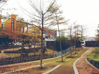 IMGP2367_副本.jpg