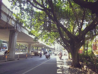 IMGP2455.jpg