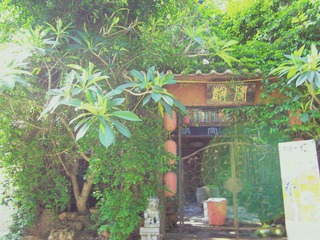 IMGP2463.jpg