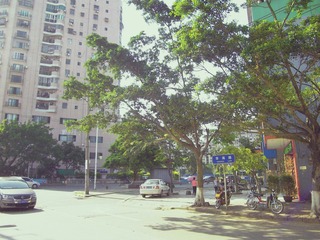 IMGP2468.jpg