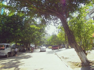 IMGP2461.jpg