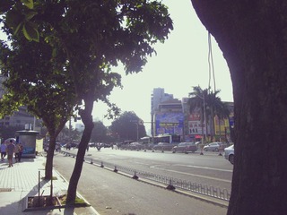 IMGP2473.jpg