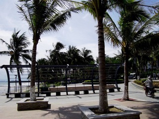 IMGP2684.JPG