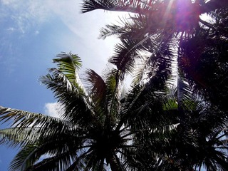 IMGP2686.JPG