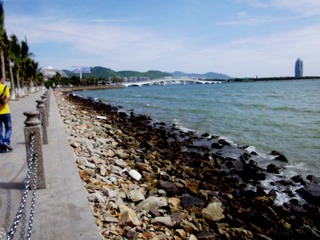 IMGP2692.JPG