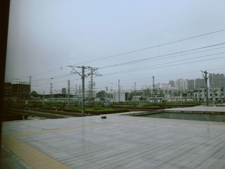 IMGP2960_副本.jpg