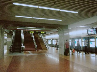 IMGP2988_副本.jpg