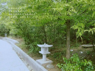 IMGP1698_副本.jpg