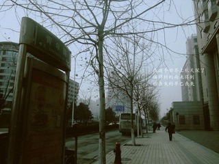 IMGP2291_副本.jpg
