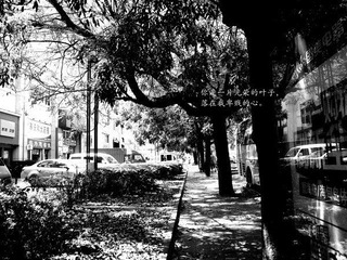 IMGP2523_副本.jpg