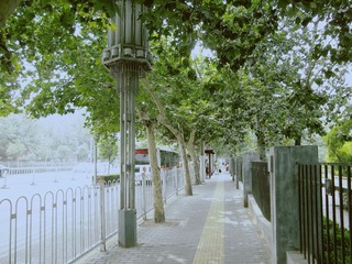 IMGP2894_副本.jpg