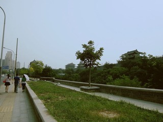 IMGP2922_副本.jpg