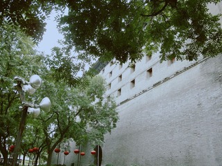 IMGP2928_副本.jpg