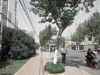 IMGP3050.jpg