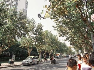 IMGP3056.jpg